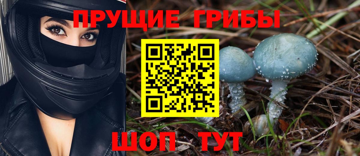 Луховицы  Псилоцибиновые грибы Cubensis  Вход с VPN 