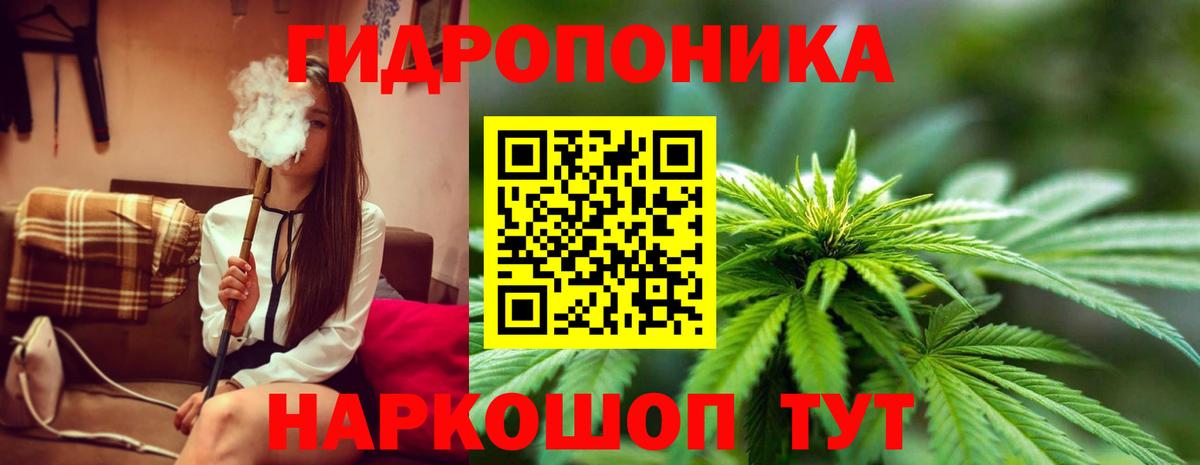 Шишки марихуана планчик Луховицы